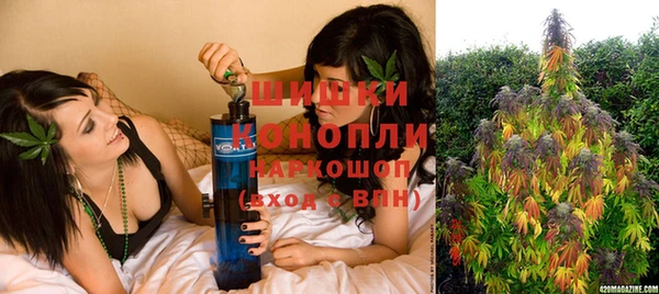 эйфоретик Фурманов