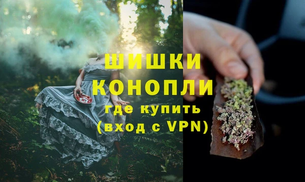 индика Лихославль