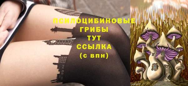 соль ск Липки