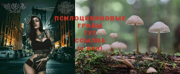 mdma Лиски
