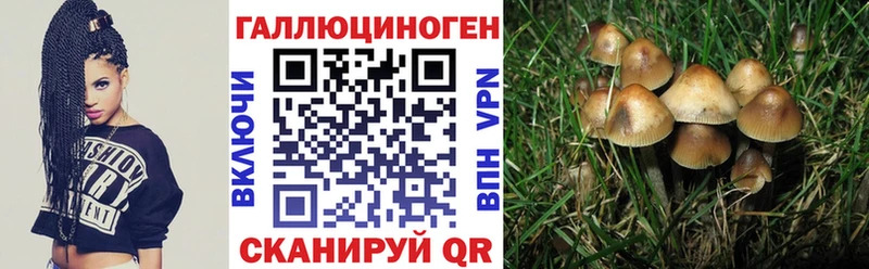 Псилоцибиновые грибы ЛСД  где можно купить   Черноголовка 